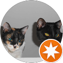 Las mil y una de Llullampera y Buchisapa