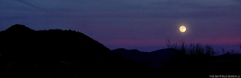 [DSC_7290%255B3%255D.jpg]