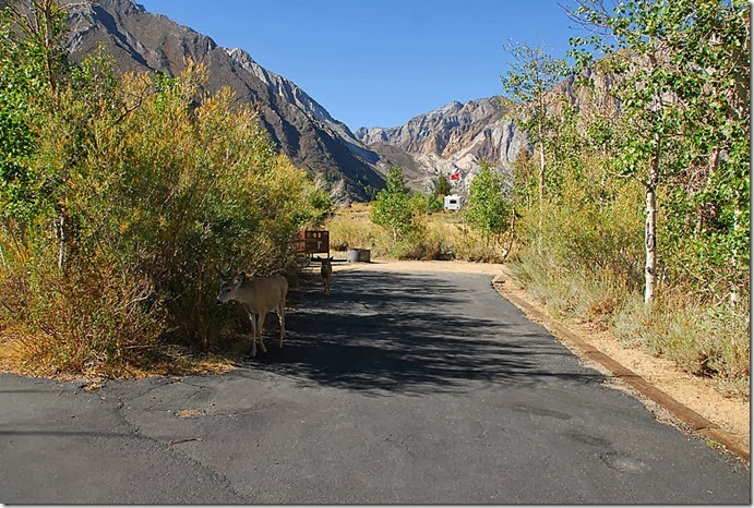 Convict Lake_072