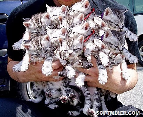 [000943k3%255B16%255D.jpg]