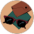 Teachix