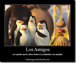 dia del amigo 23 (14)