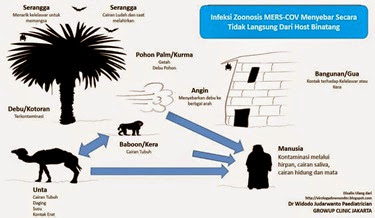 gejala-penyebaran-dan-penularan-virus-mers