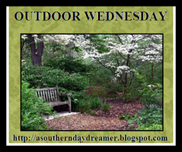 [Outdoor-Wednesday-button_thumb1_thum%255B2%255D.png]