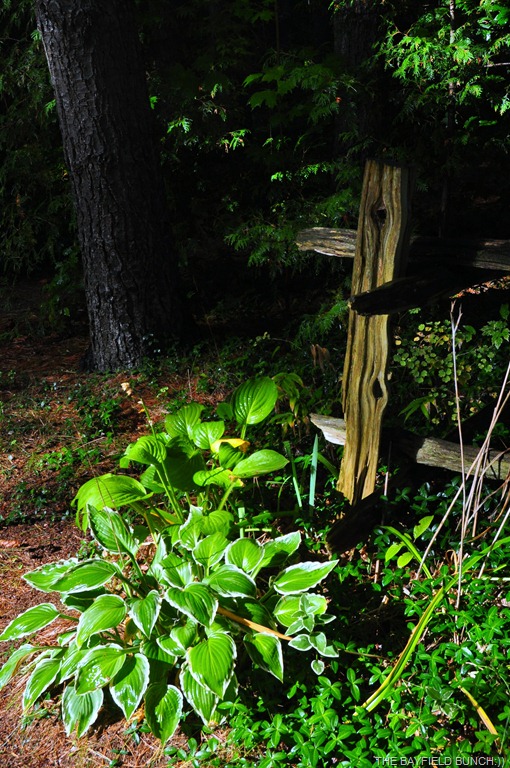 [DSC_0022-001%255B4%255D.jpg]