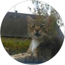 Image Google de Titou111 az