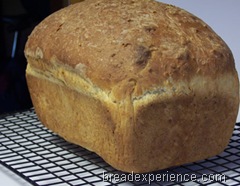 einkorn-oatmeal-bread 035