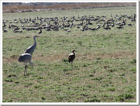 IMG_0836 IMG_0836