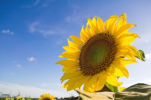 [208994078_20728817a0%255B2%255D.jpg]