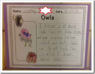 Owl Writing1