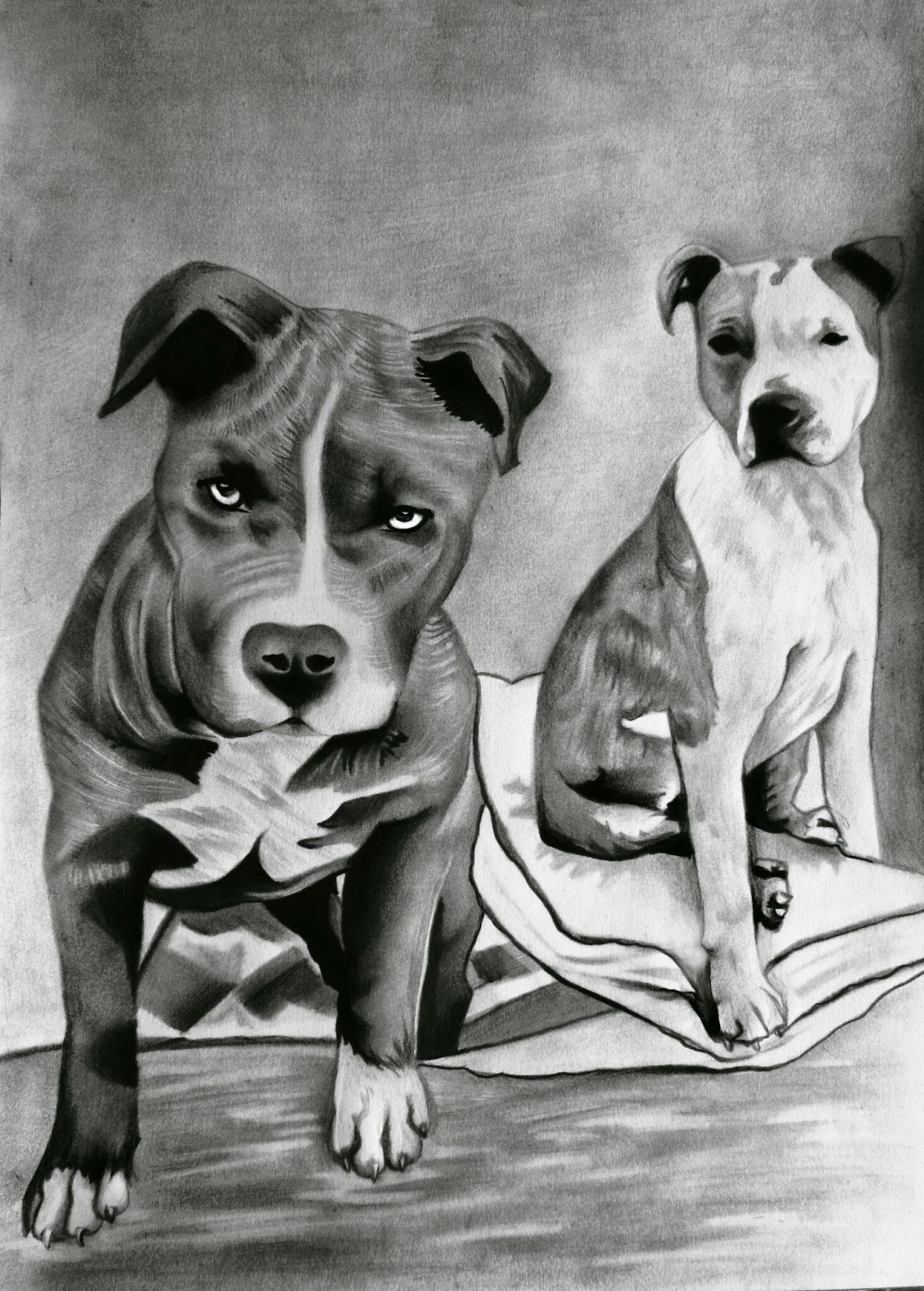 El arte de Verónica: Dibujo a lápiz de 2 pitbulls
