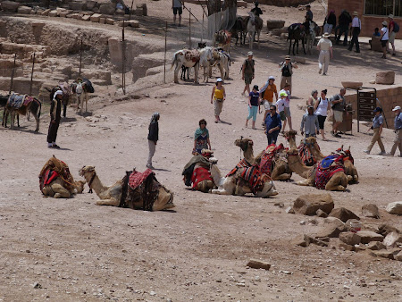 Obiective turistice Petra: Statia de camile