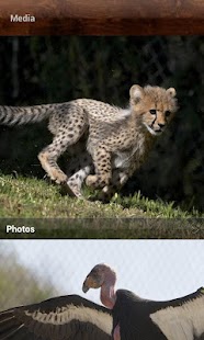 SDZ Safari Park Screenshots 4