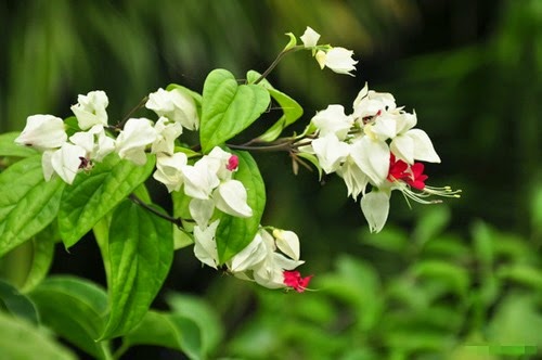 [clip_image004%255B3%255D.jpg]