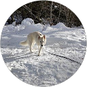 Image Google de Jennifer Grimault