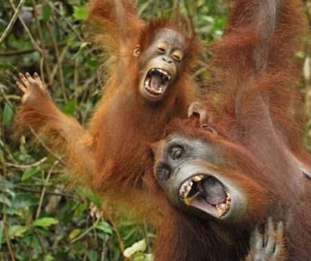 [clip_image005%255B6%255D%255B4%255D.jpg]