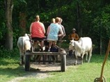[Chitwan-National-Park%2520%25282%2529%255B2%255D.jpg]