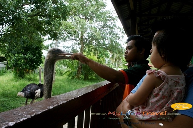 [Langkawi-bird-paradise-263.jpg]