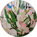 Image Google de Cecile Paget