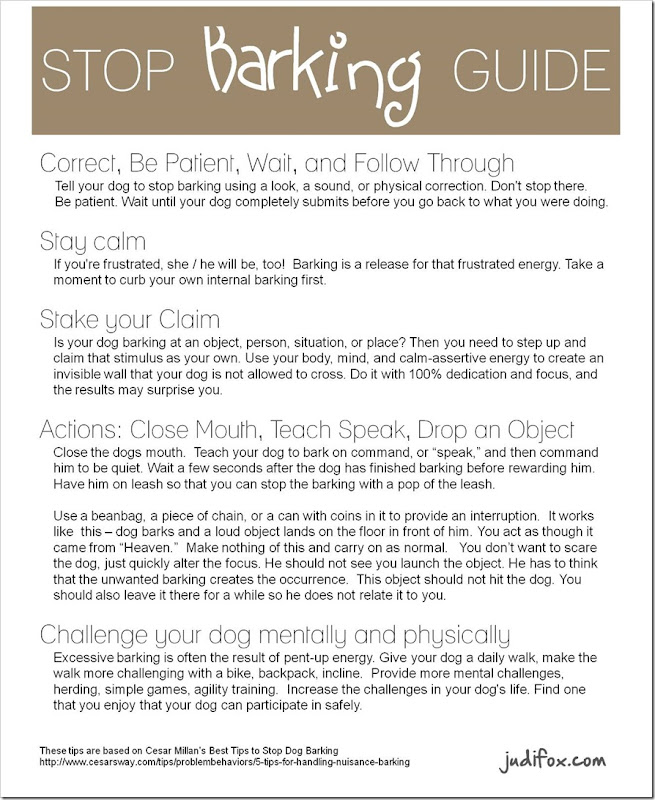 Stop Barking Guide