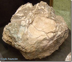 Fragmento de cráneo de neandertal - Museo de Prehistoria de Valencia