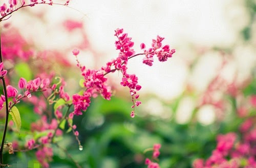 [clip_image001%255B3%255D.jpg]