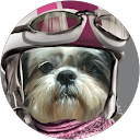 Image Google de Blanche Deperrois