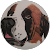 Oliver The Saint Bernard Oliver The Saint Bernard