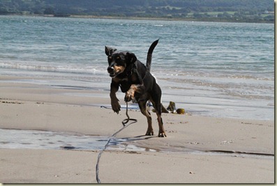 Wales 5-8-2012 294