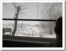 20120113_snow-day-inside_006