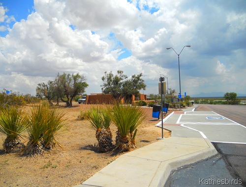 17. rest area west Texas-kab