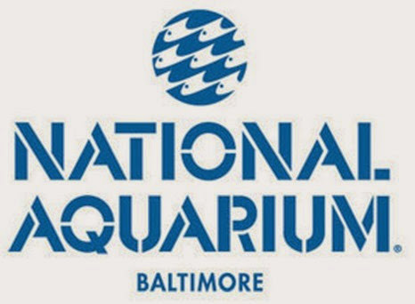 national aquarium baltimore