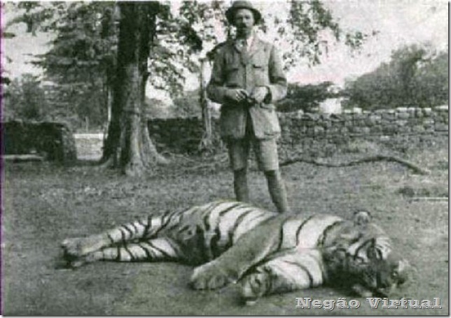 a tigresa champawat