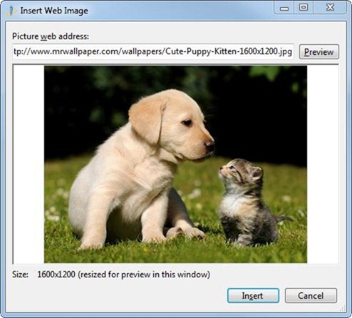 Windows_Live_Writer_insert_image_web_address