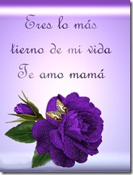 fases largas dia de la madre (15) fases largas dia de la madre (15)