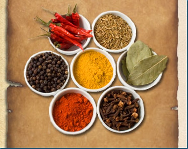 spices - pungent taste