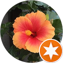 Image Google de KARINE LILLI