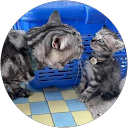 Image Google de boutaye badredien