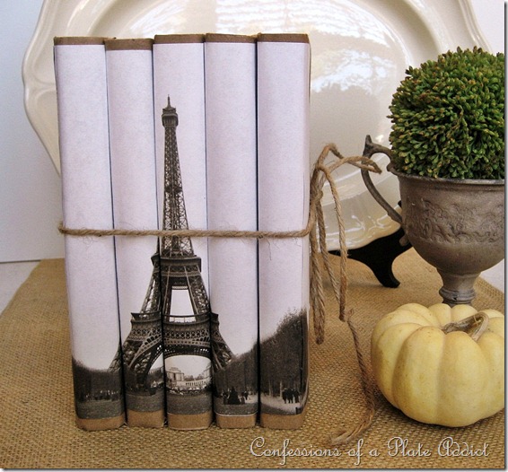 CONFESSIONS OF A PLATE ADDICT Eiffel Tower Book Bundle