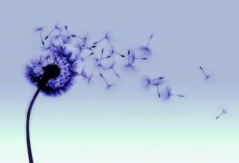 Assolo di poesia Anni perduti