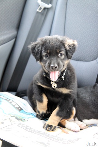 [IMG_0171%255B5%255D.jpg]