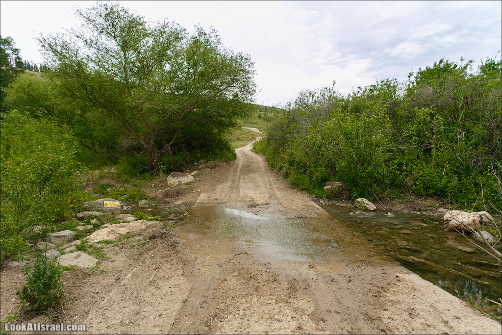 LookAtIsrael.com: Фото-блог о путешествиях по Израилю. Тель Авив, Иерусалим, Хайфа Ну, а затем была 