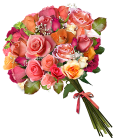 nb_bloom_flower1.png