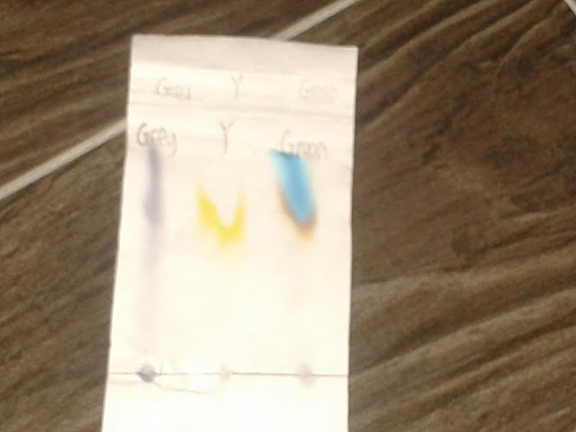 Izmir11: Paper Chromatography