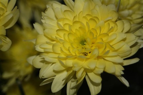 20081114 (2) (Small)