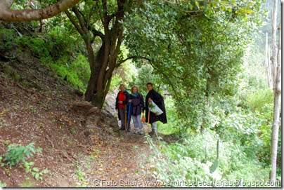 7379 La Laguna-Barranco Laurel(Los Tilos) 7379 La Laguna-Barranco Laurel(Los Tilos)