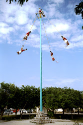 Reise nach Mexiko - 08