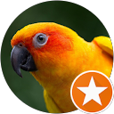 Имя Вираты profile picture