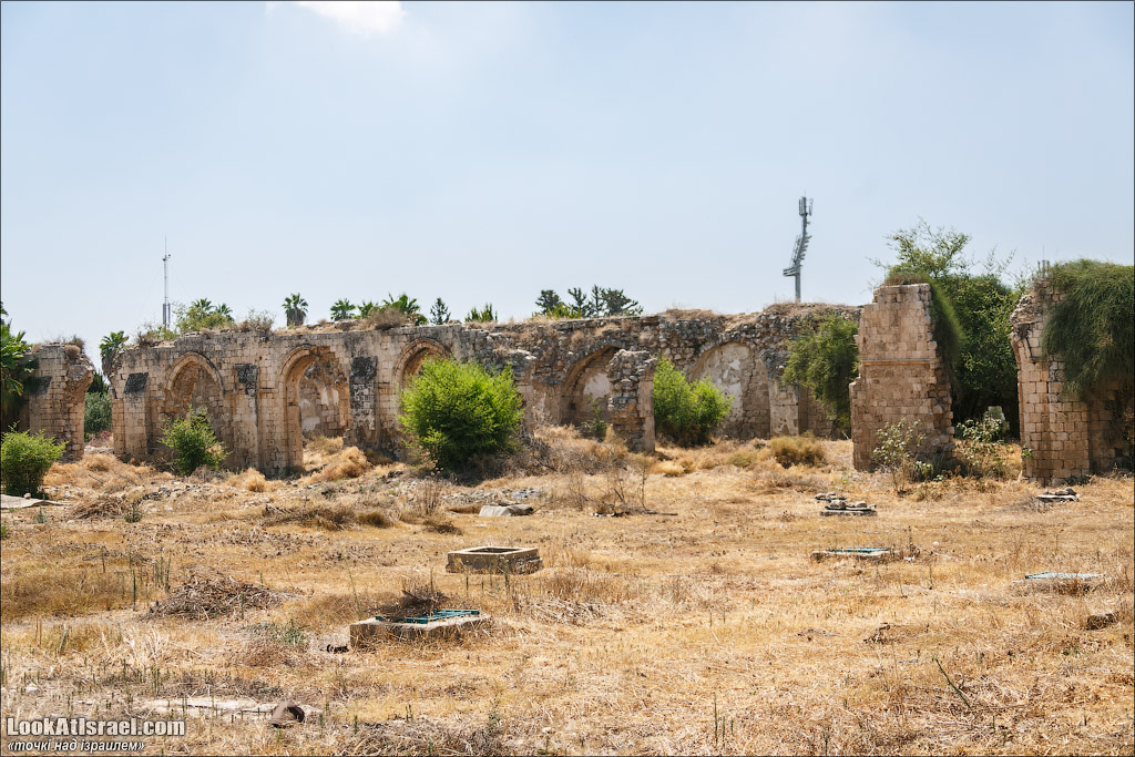 Серия рассказов о городах Израиля «Точки над i» - Рамле 
