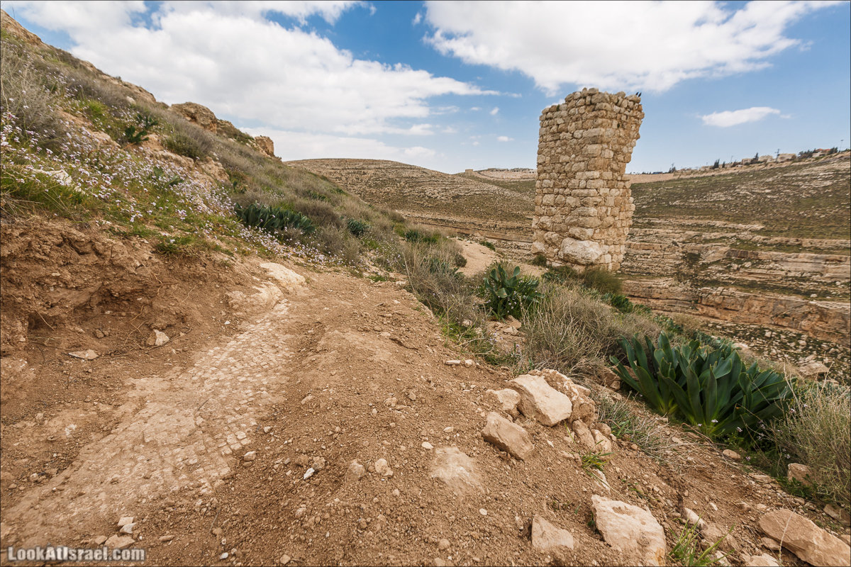 LookAtIsrael.com - Ущелья Харитона и Суккийская лавра в ущелье Ткоа | Wadi Tekoa and Hariton Cave | נחל תקוע מערת חריטון
